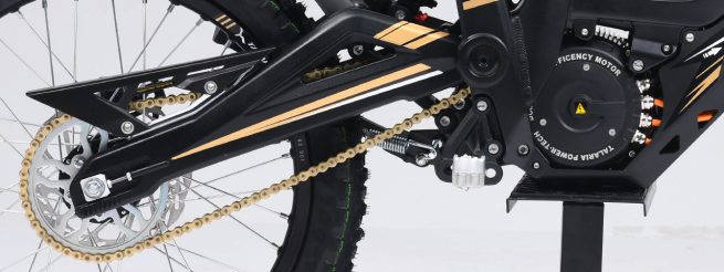 Talaria Sting - Everything You Need to Know About This Unique Creature