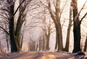 route de campagne enneigée