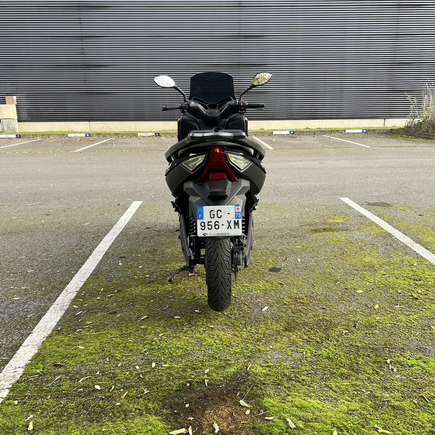 Pink Fly Phase 1 noir - occasion 26 362 km – Image 6