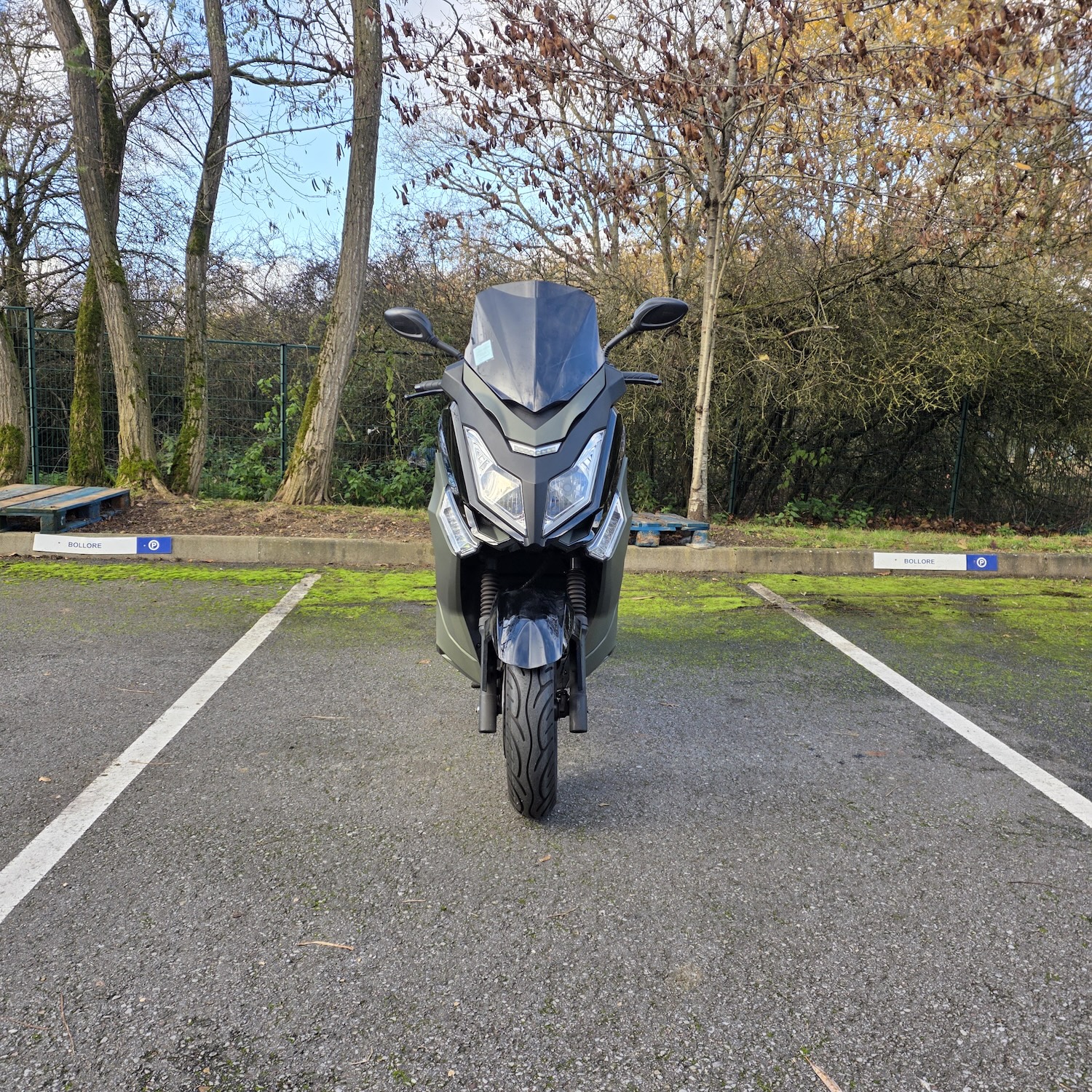 Pink Fly Vert - occasion 13 627 km – Image 2