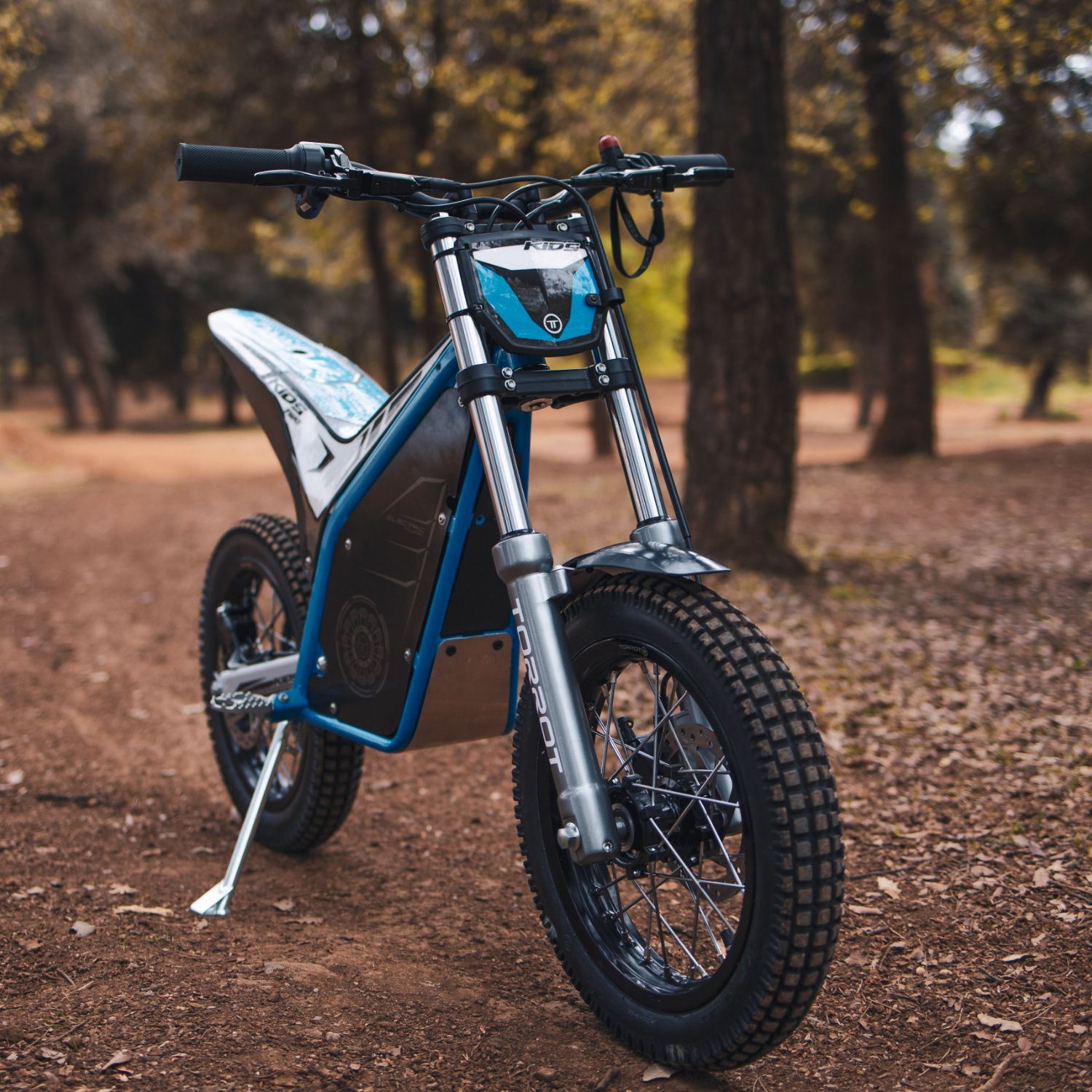 Torrot Trial TR1 – Image 4